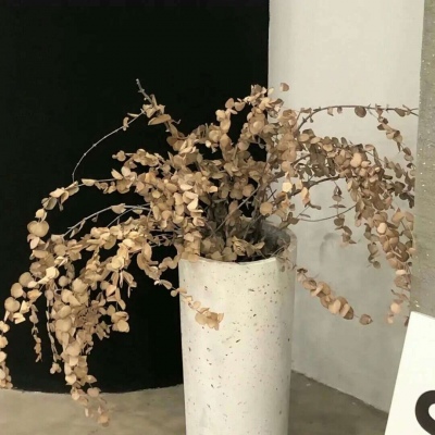 兽设潮流风格设计兽圈社群